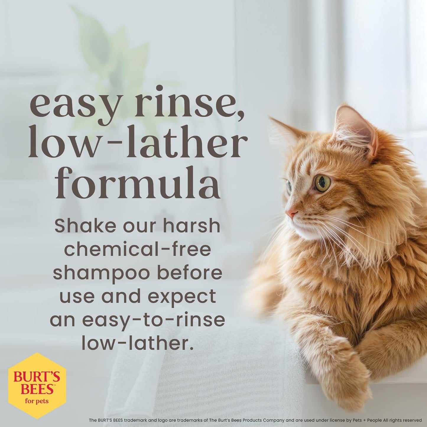 Burt’s Bees for Pets Hypoallergenic Cat Shampoo with Shea Butter and Honey