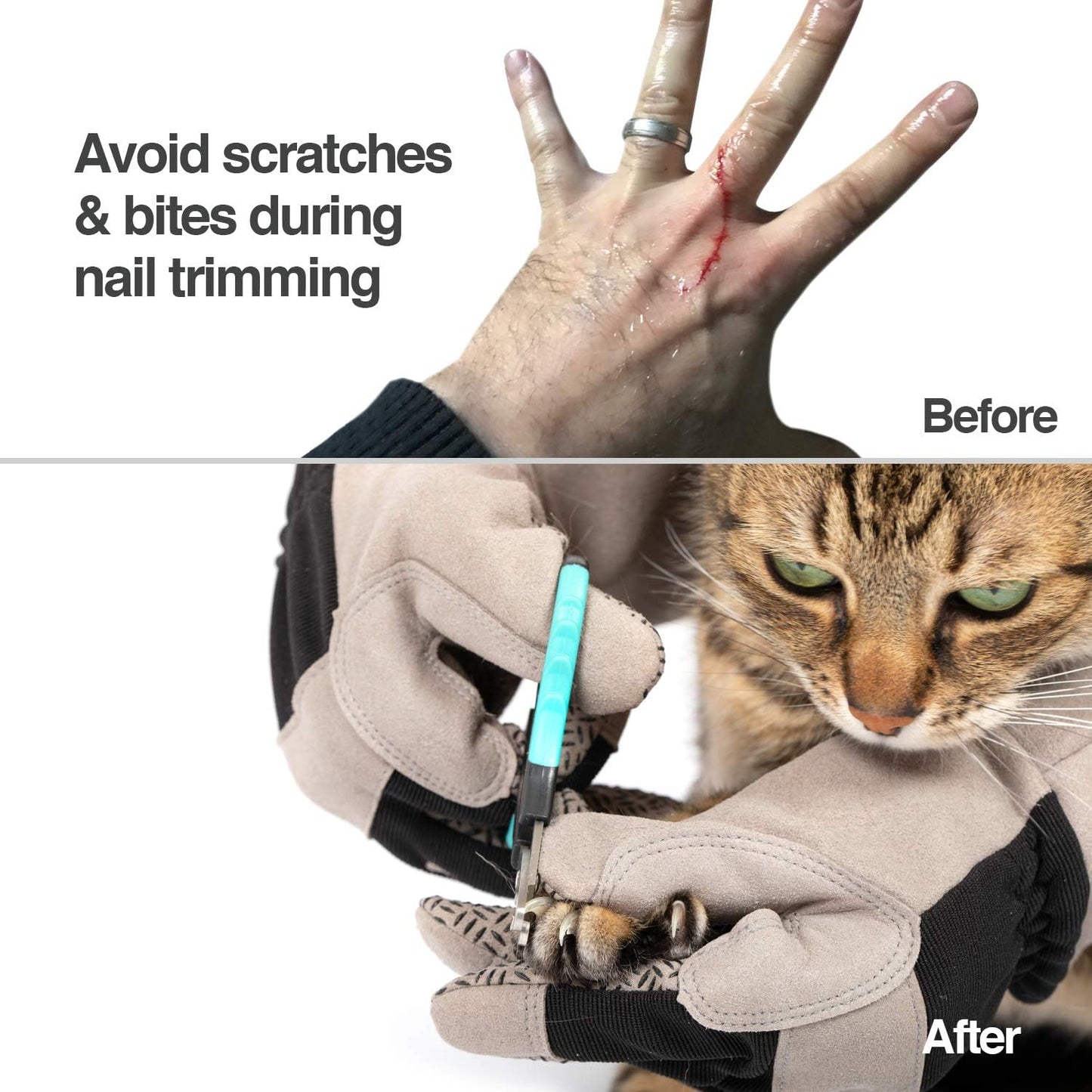 PetFusion Multipurpose Pet Glove for Grooming