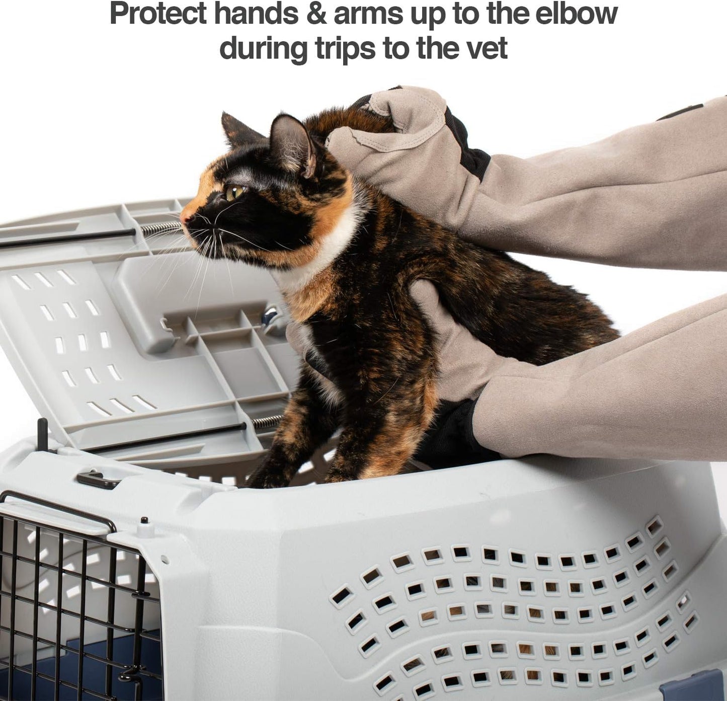 PetFusion Multipurpose Pet Glove for Grooming