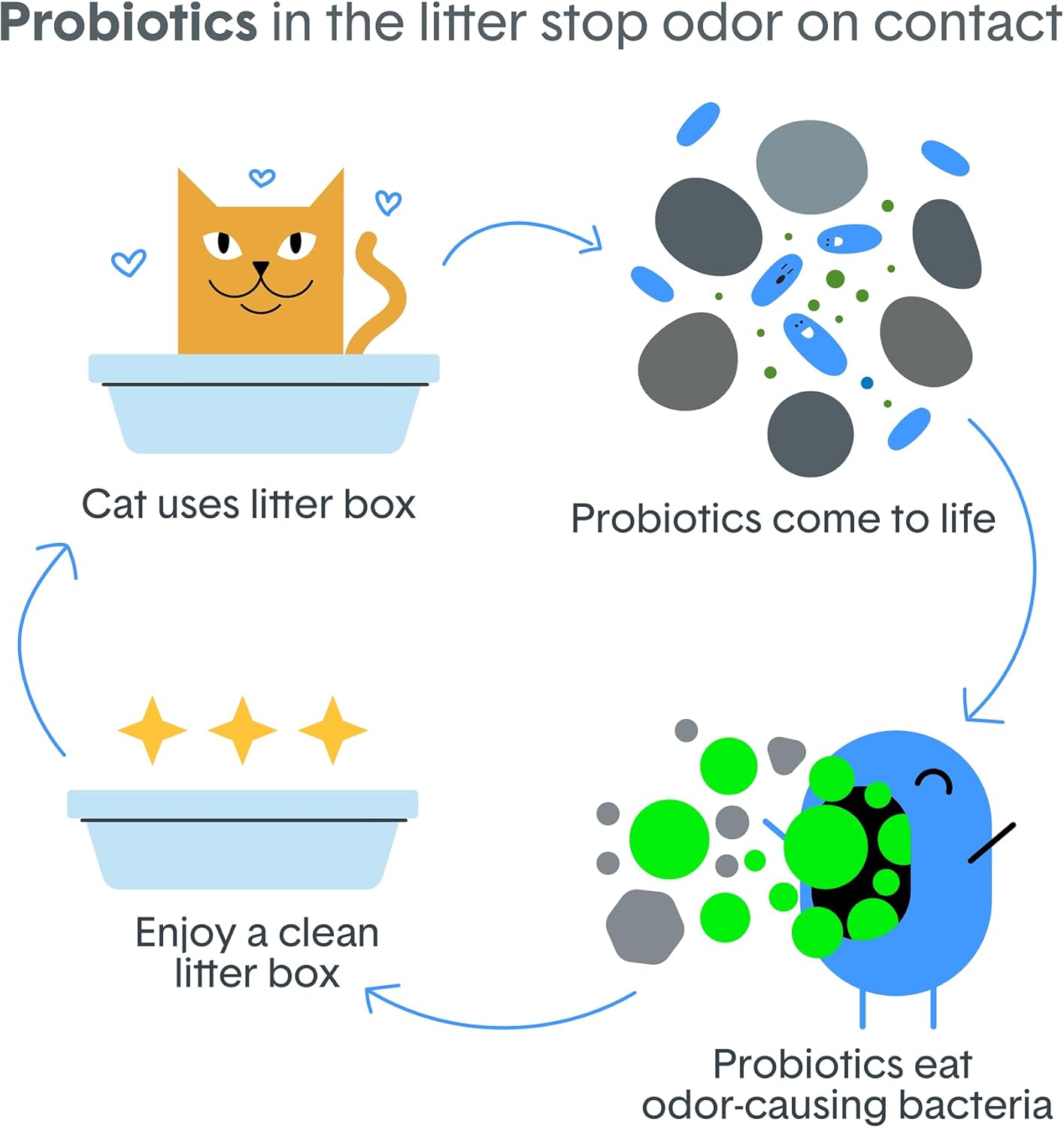 Boxie Probiotic Cat Litter, 40 Day Odor Control, Clumping Clay Kitty Litter