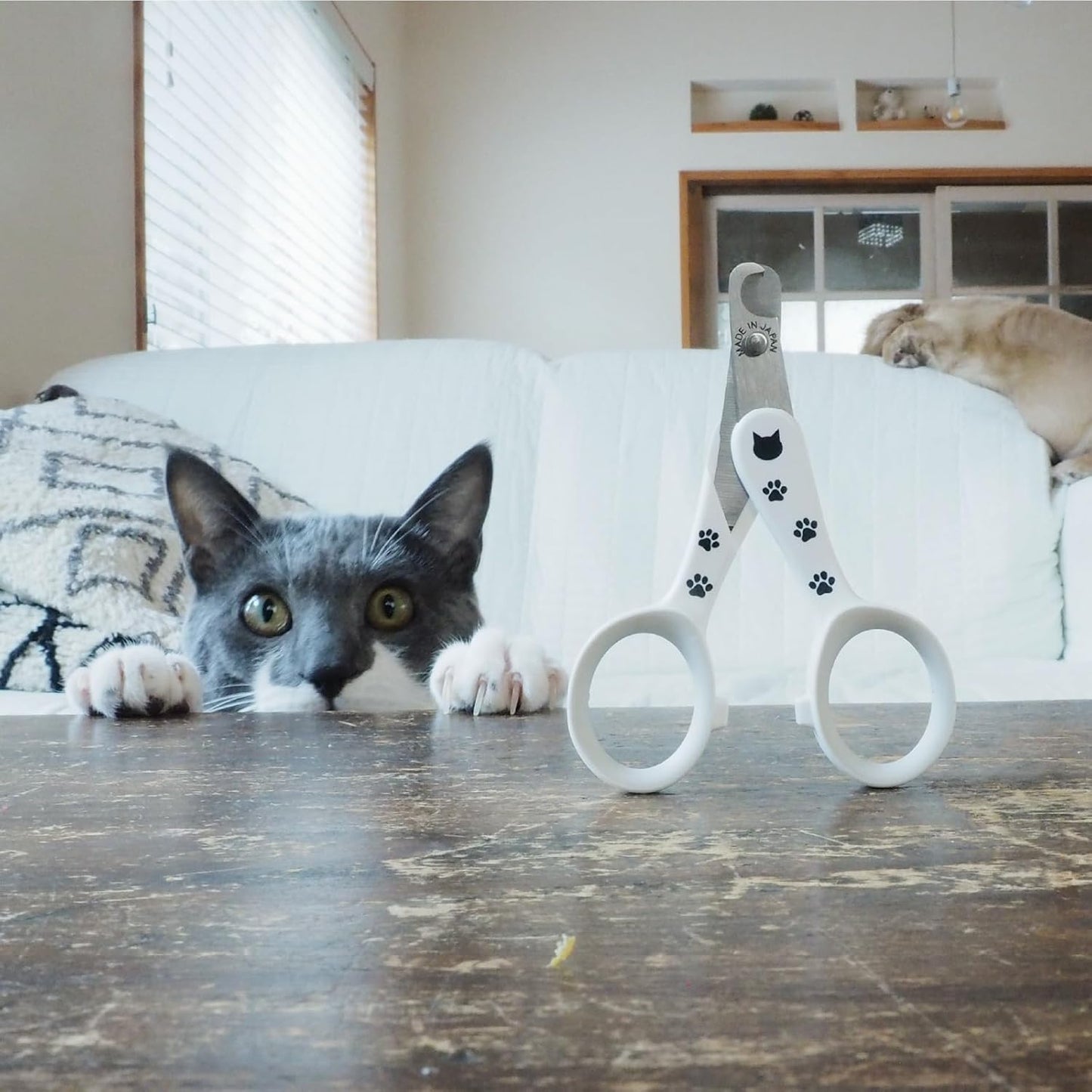 NecoIchi - Purrcision Feline Nail Clippers | Ultra-Sharp Cat Nail Clipper for Safe & Precise Trimming