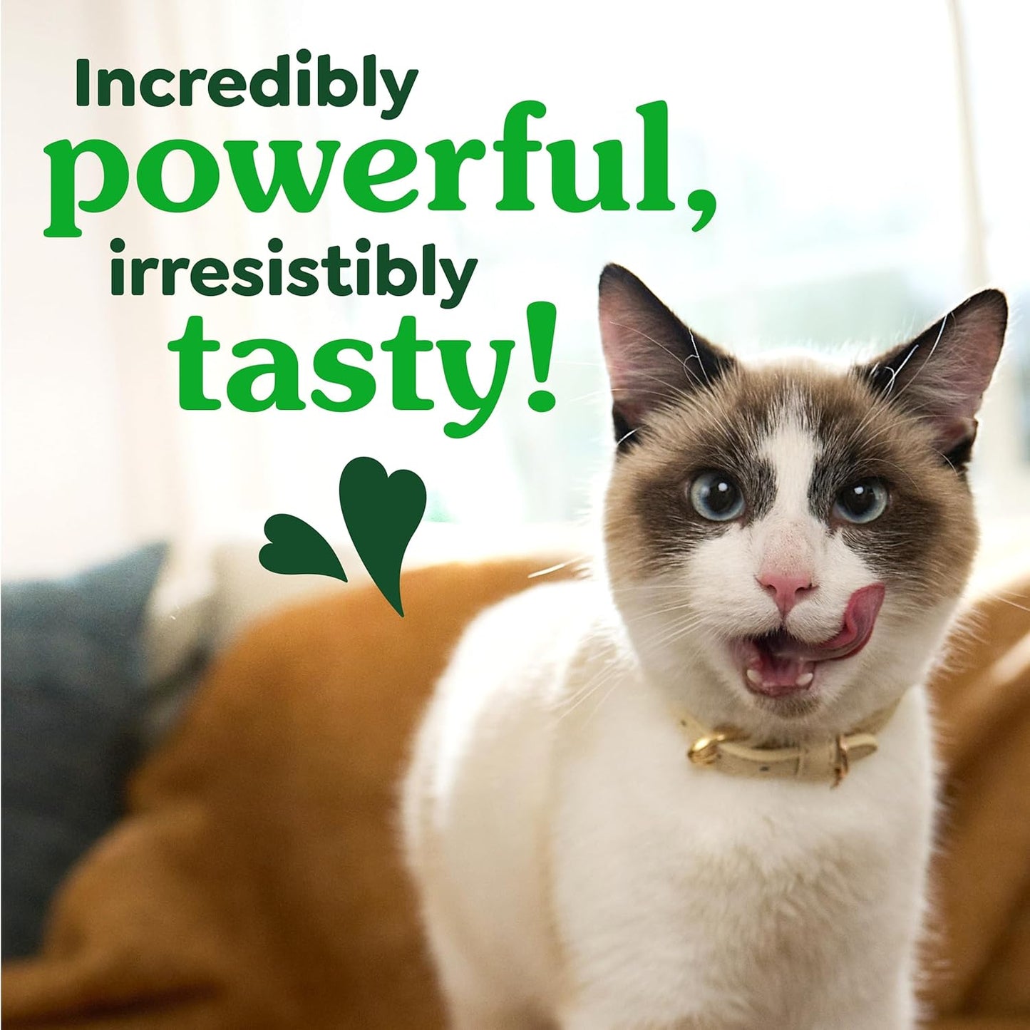 Greenies Cat Treats for Dental Health