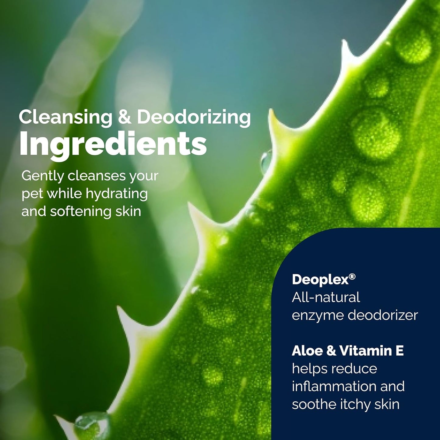 Vetnique Glandex Vitamin E + Aloe Wipes for Pets Cleansing & Deodorizing