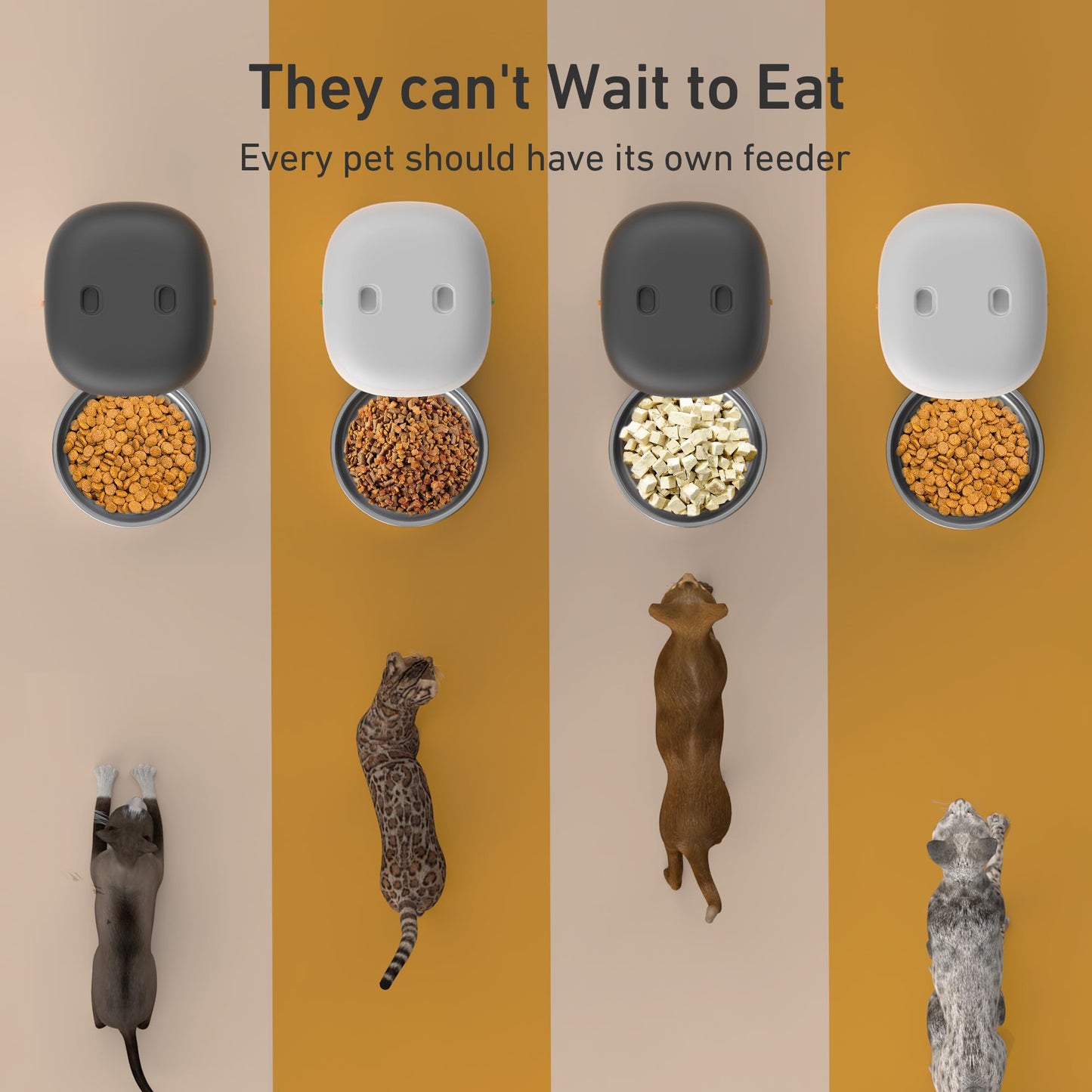 Automatic Cat Feeder – 2L Timed Pet Food Dispenser with Portion Control & Long Battery Life