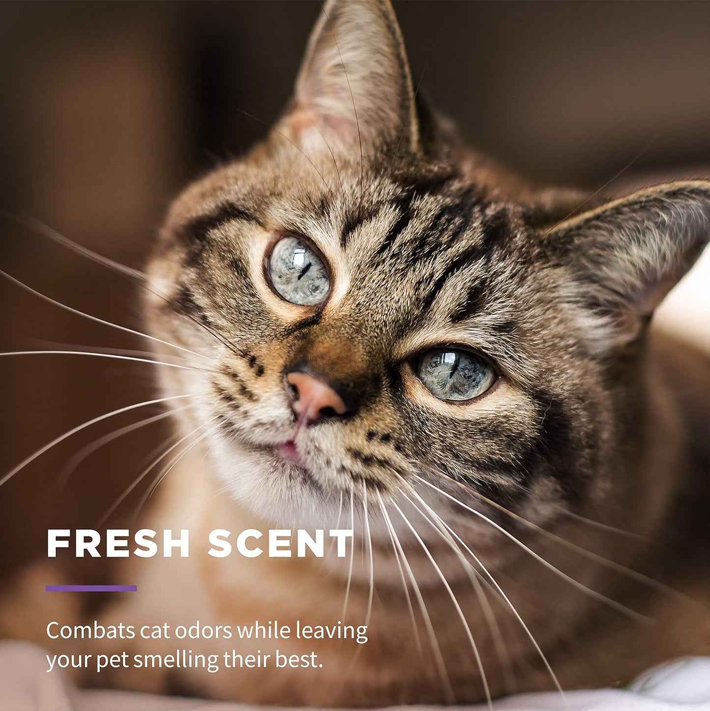 Wet Ones for Cats Freshening Wipes, Multi-Purpose Cat Grooming Wipes with Aloe Vera